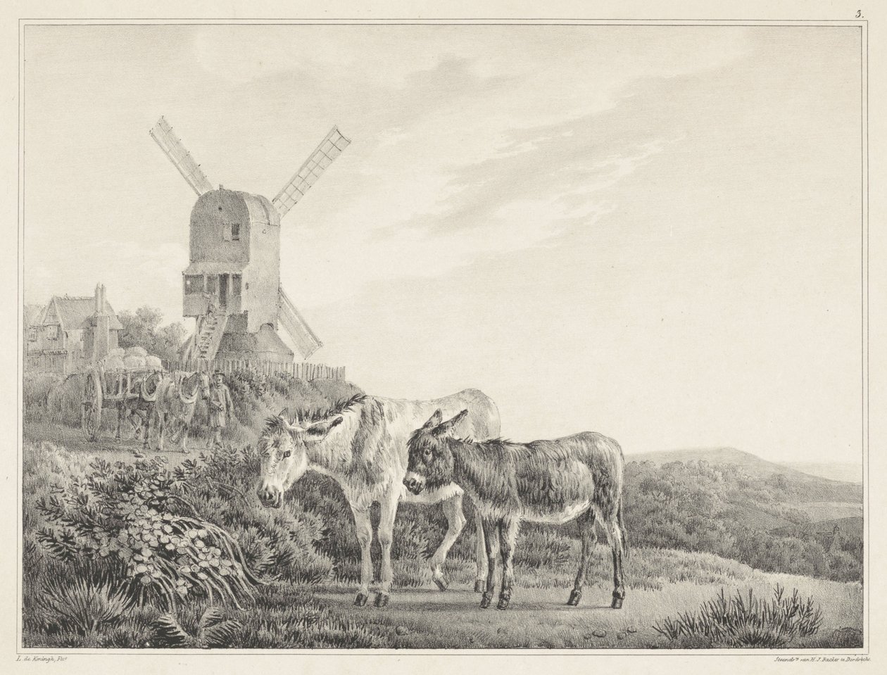 Deux ânes dans un paysage près d