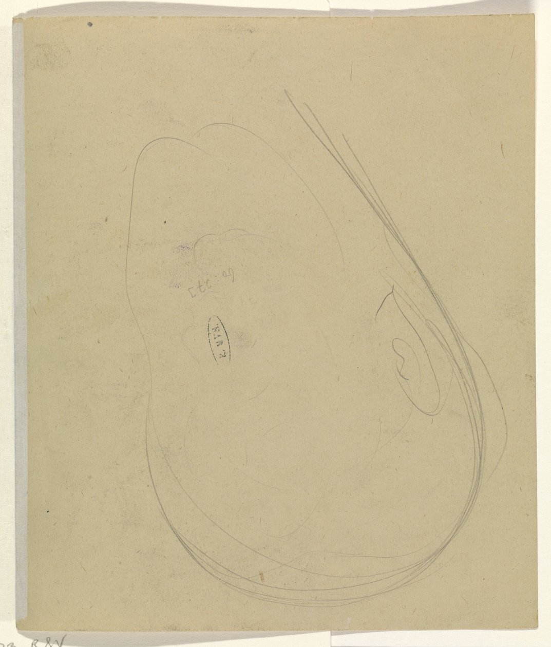 Contours d