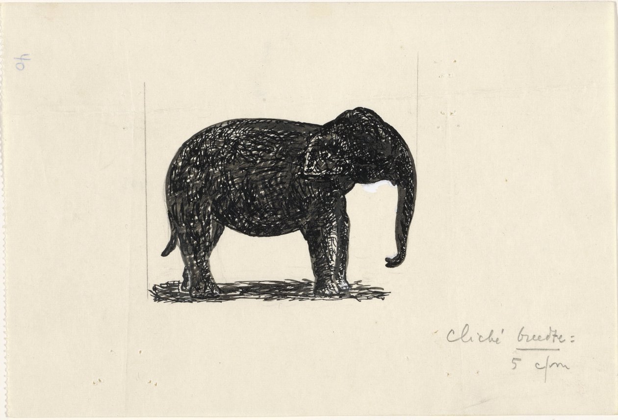 Éléphant - Leo Gestel