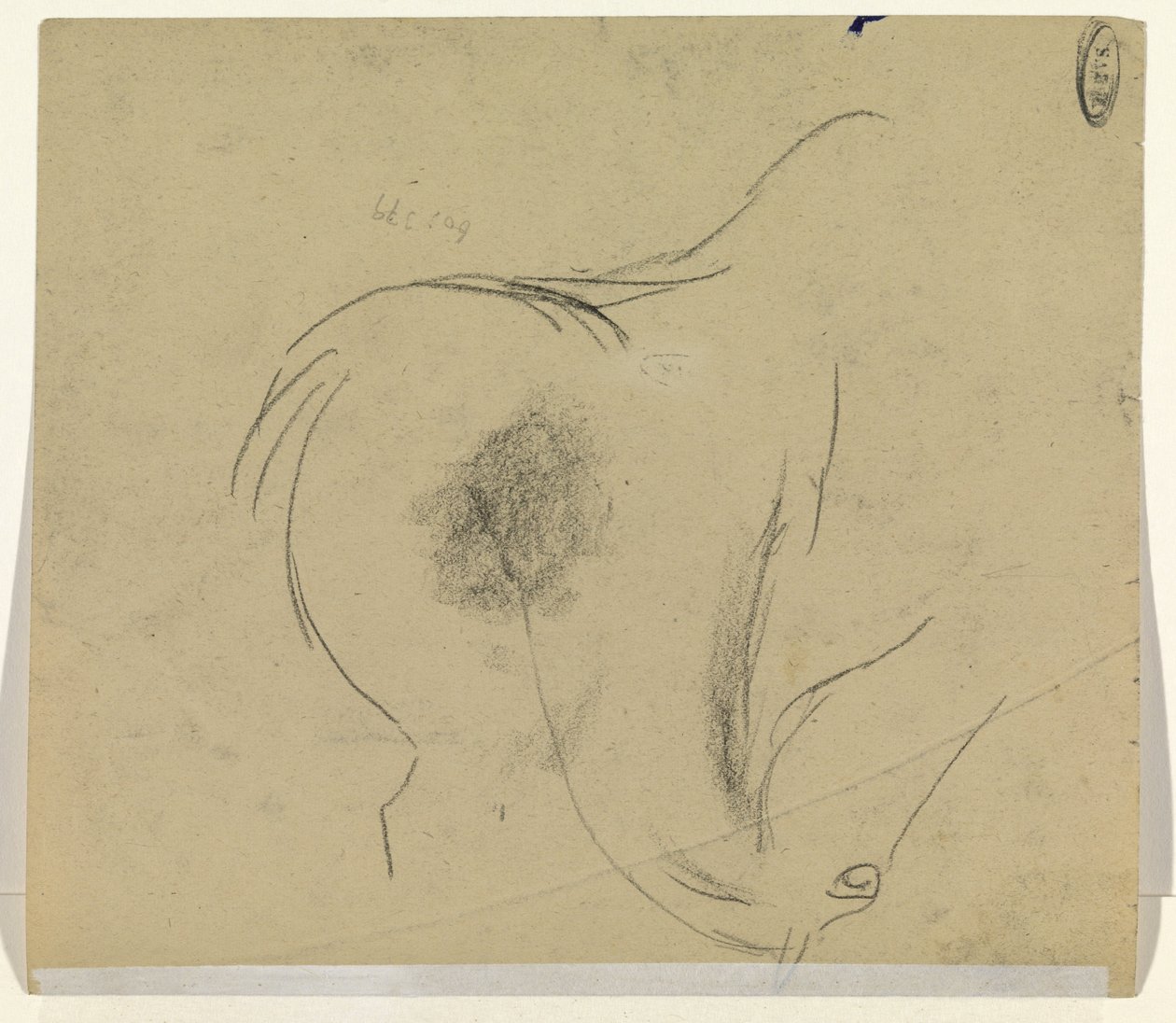 Tête de cheval - Leo Gestel