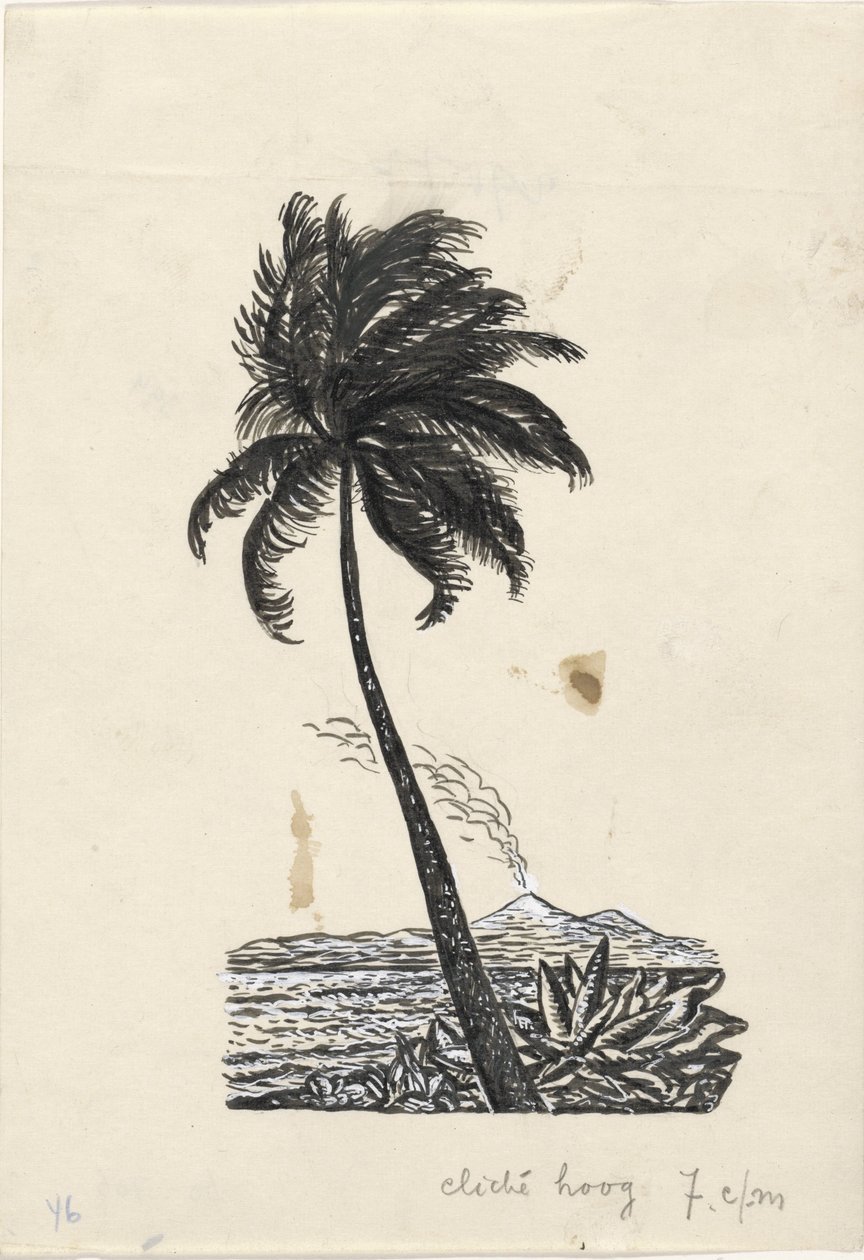 Palmier avec une île et un volcan en arrière-plan - Leo Gestel