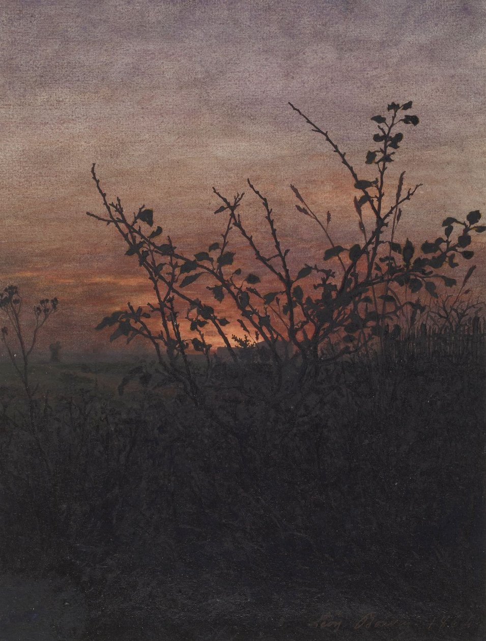 Prunellier (?) devant un paysage au coucher du soleil - Léon Bonvin