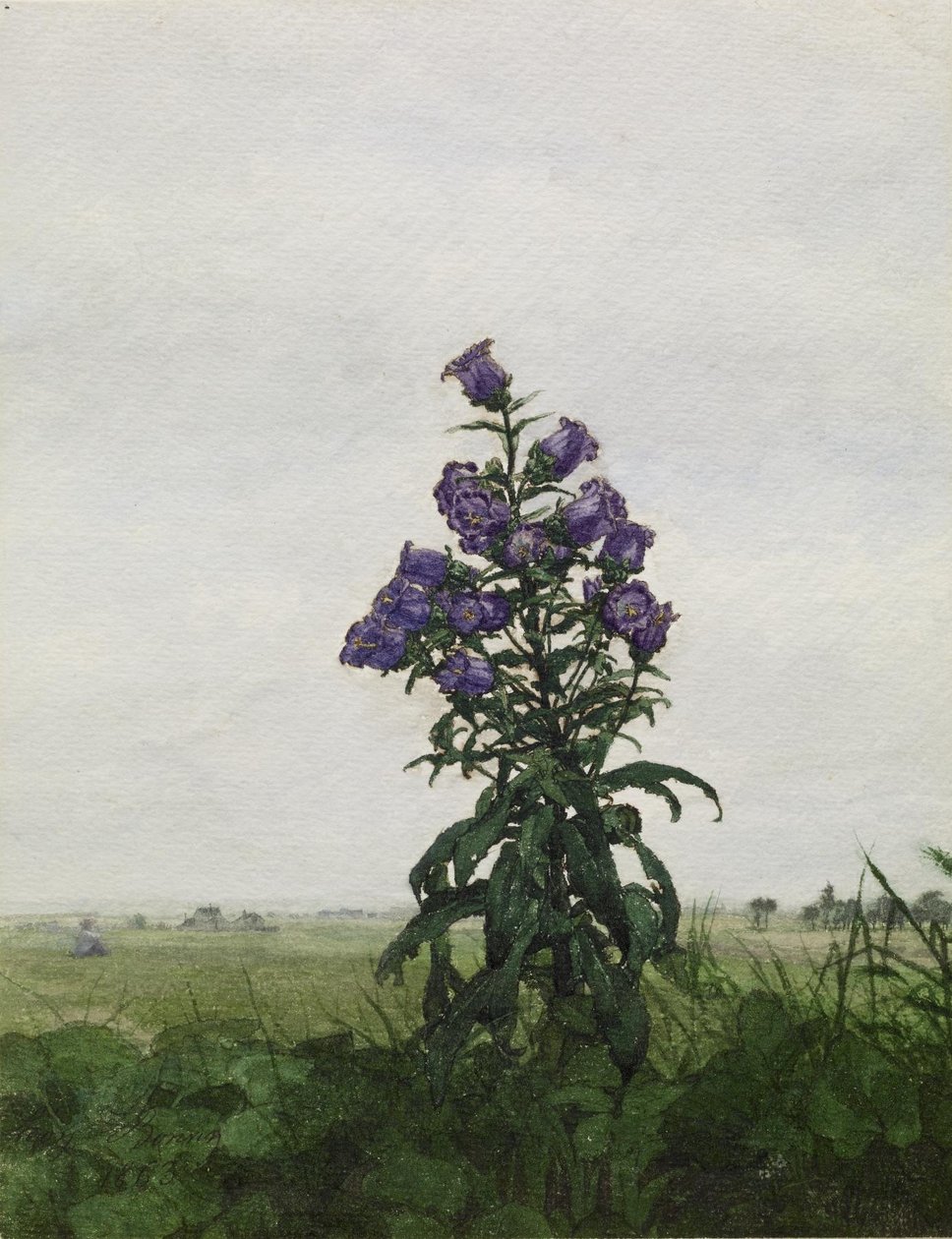 Campanule devant un paysage - Léon Bonvin