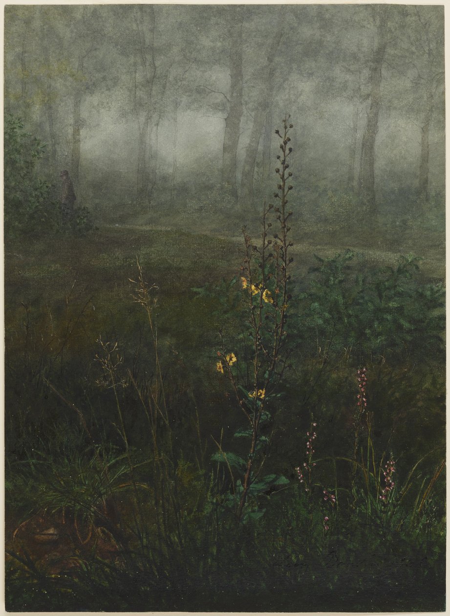 Molène grise dans le sous-bois - Léon Bonvin