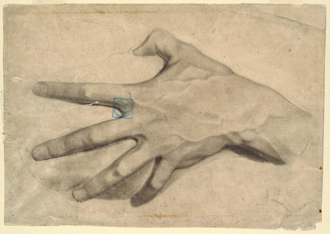Dessin, étude d