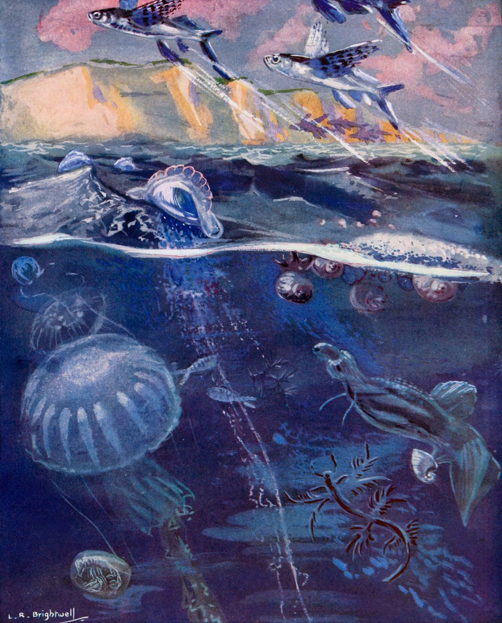  - Leonard Robert Brightwell