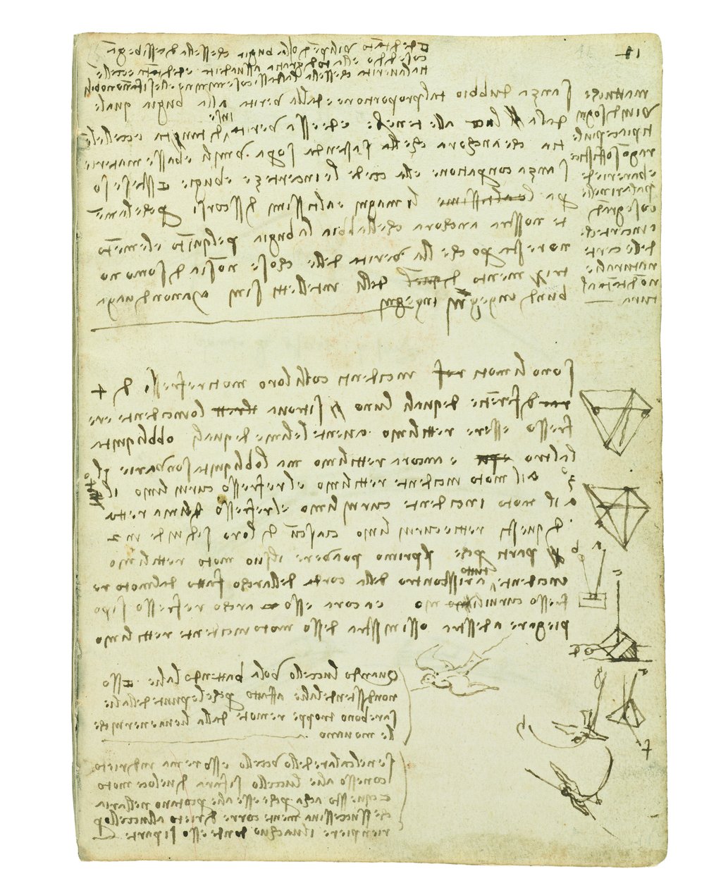Codex sur le vol des oiseaux, Folio 11 recto - Leonardo da Vinci