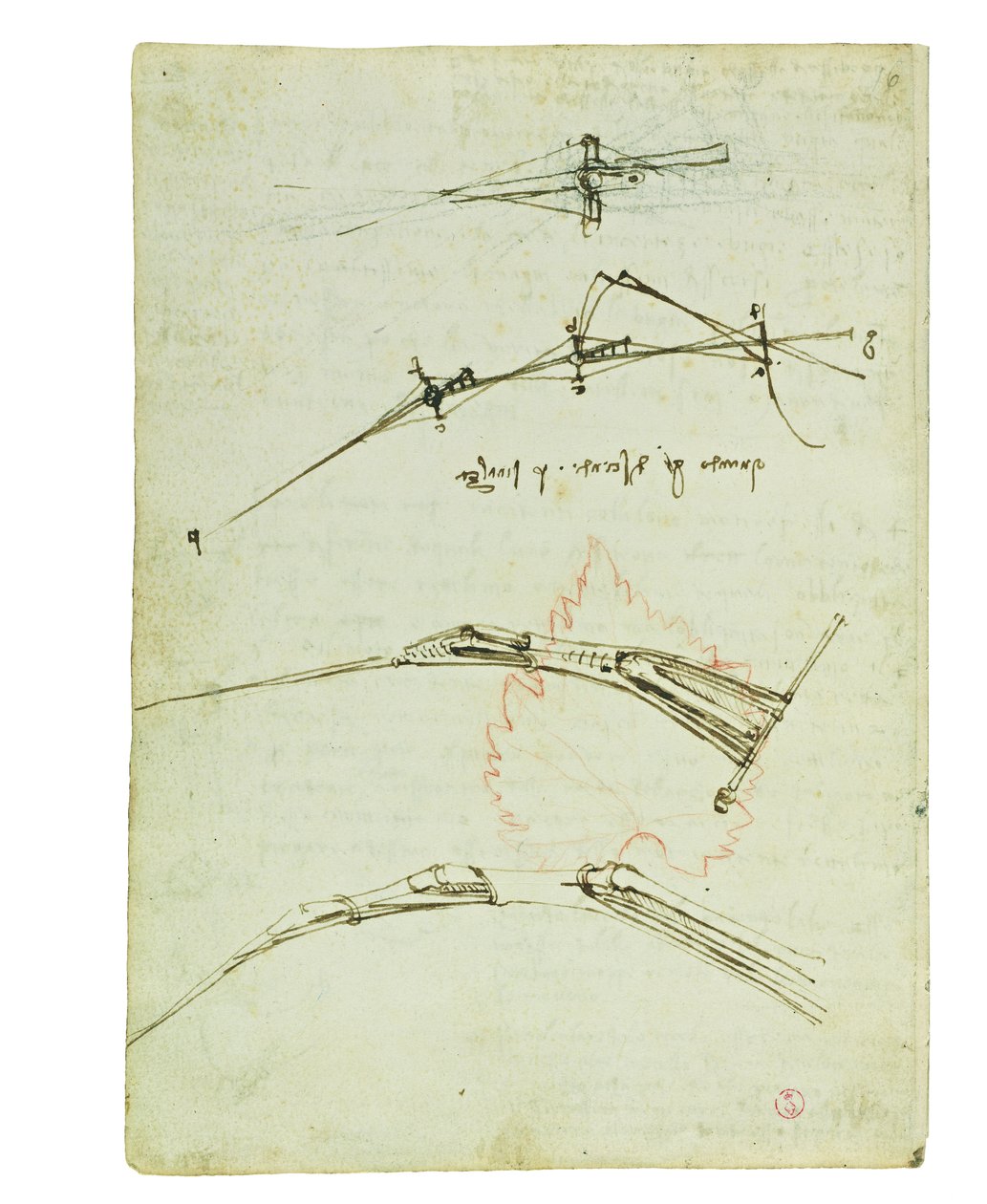 Codex sur le vol des oiseaux, Folio 11 verso - Leonardo da Vinci
