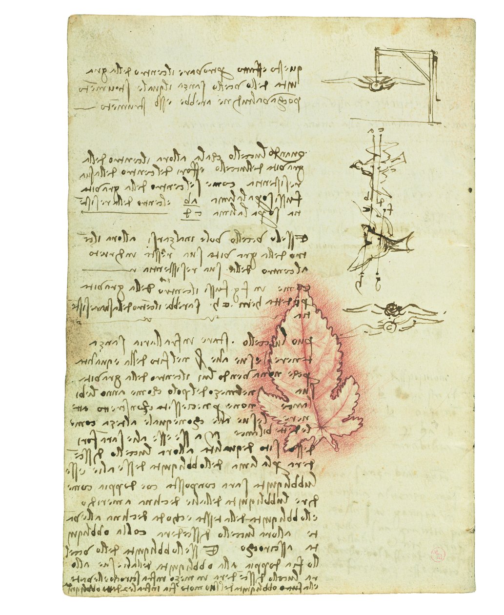 Codex sur le vol des oiseaux, Folio 15 verso - Leonardo da Vinci