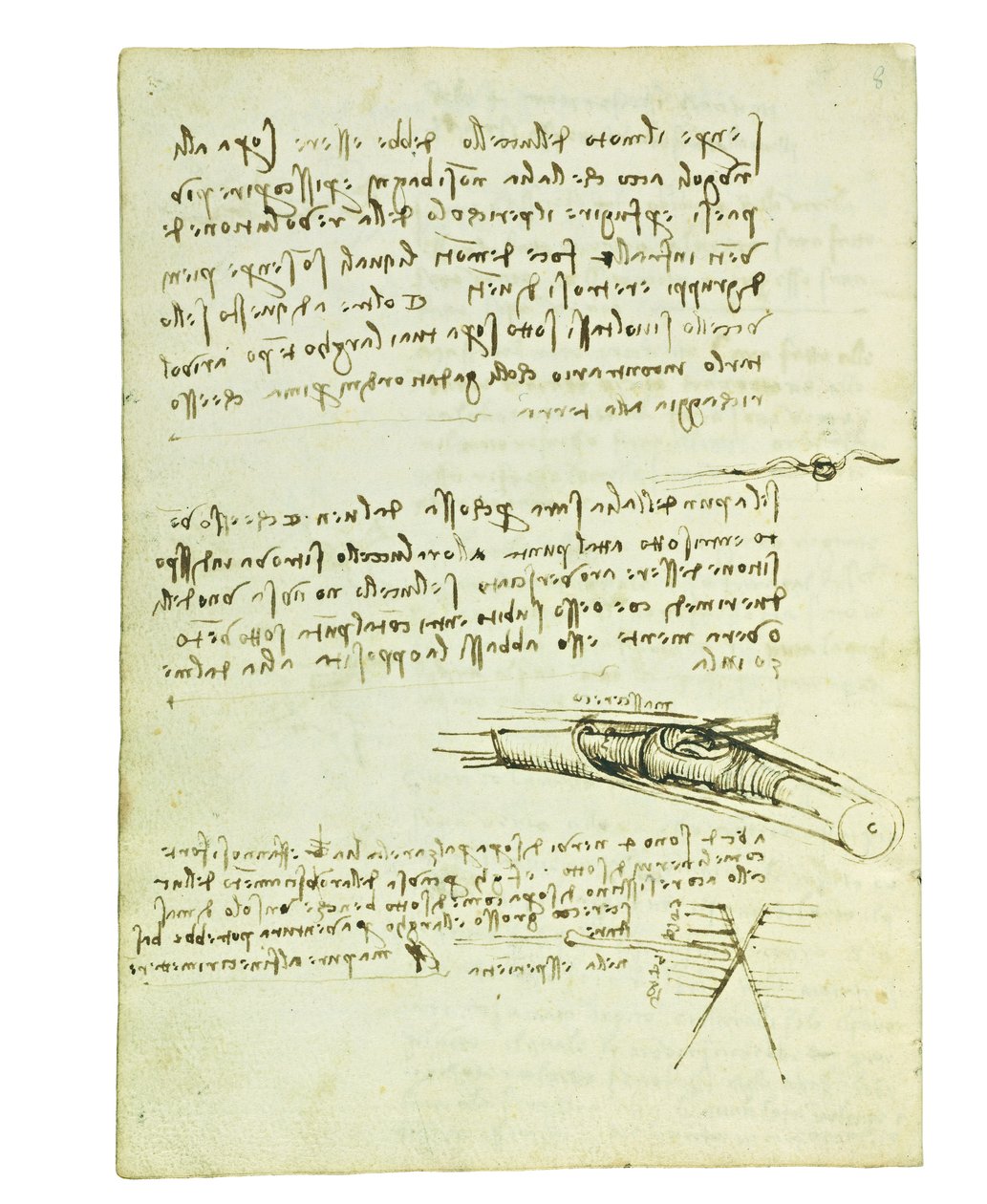 Codex sur le vol des oiseaux, Folio 6 verso - Leonardo da Vinci