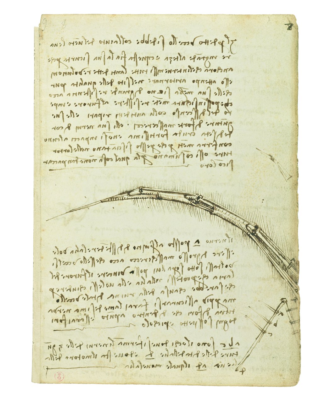 Codex sur le vol des oiseaux, Folio 7 recto - Leonardo da Vinci