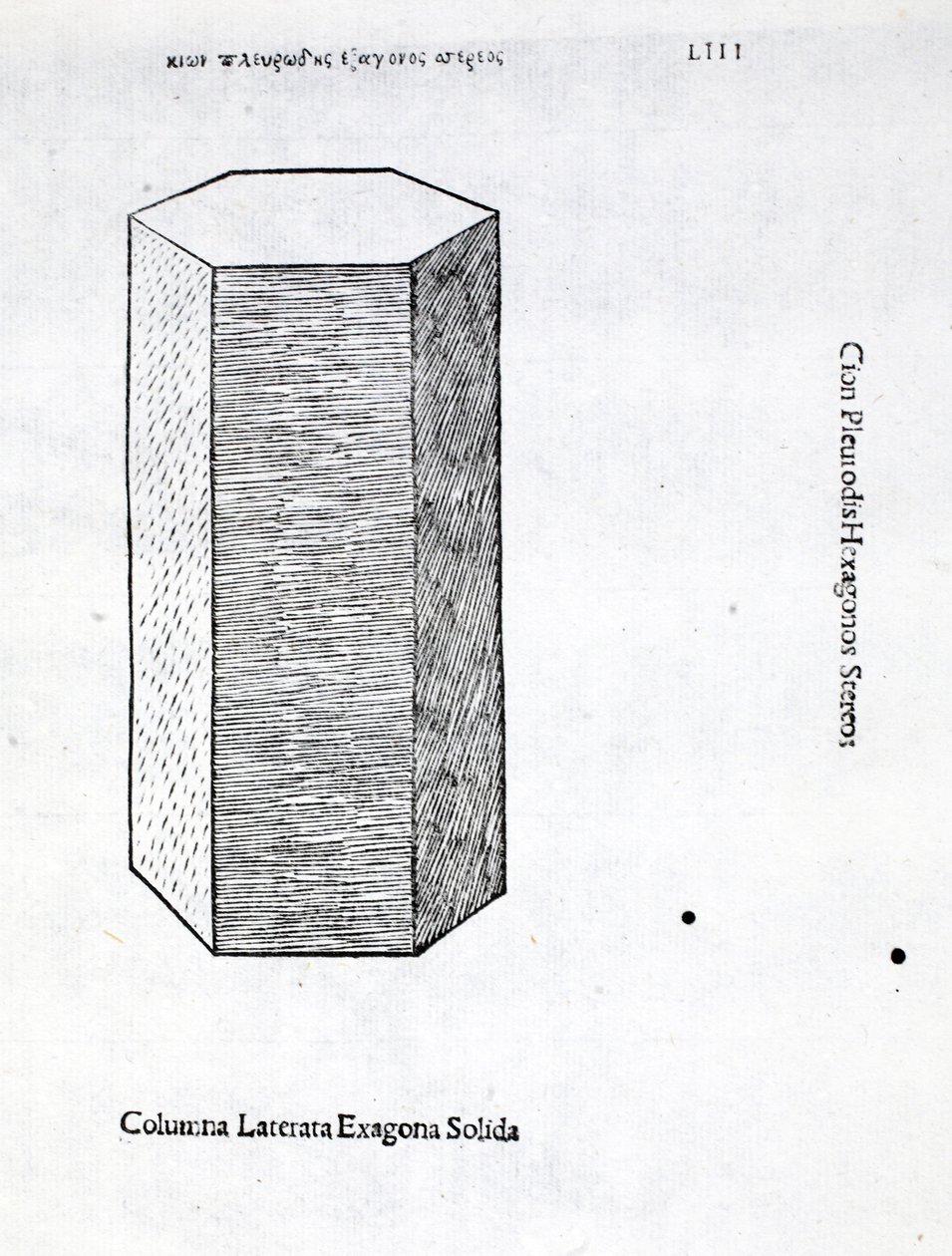 Columna laterata exagona solida, illustration de 