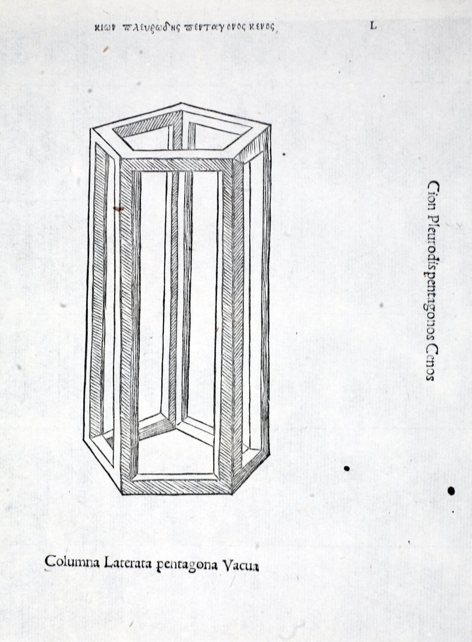 Columna laterata pentagona vacua, illustration de 