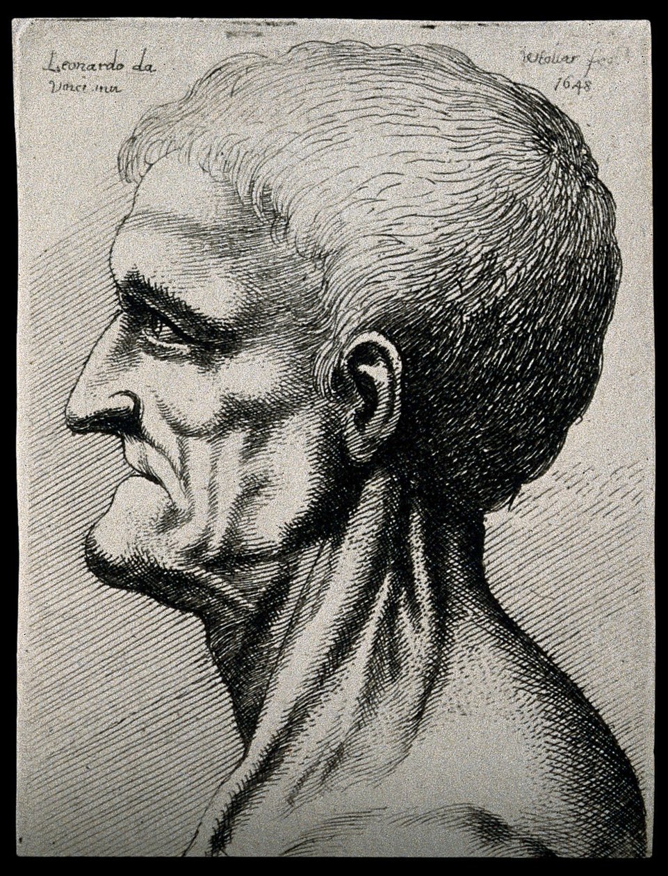 Tête et cou d