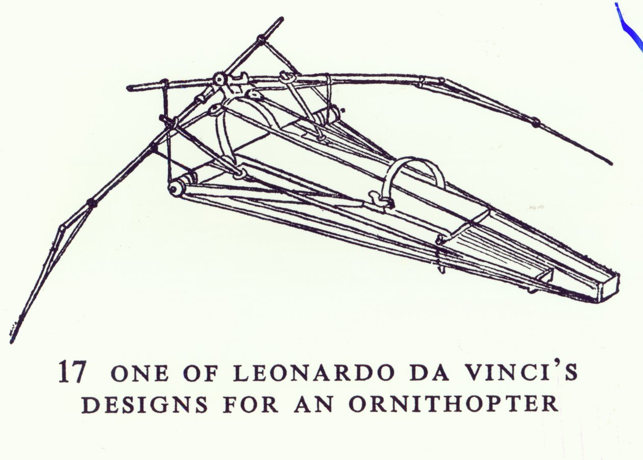 Un des dessins de Léonard de Vinci pour un ornithoptère, copie d