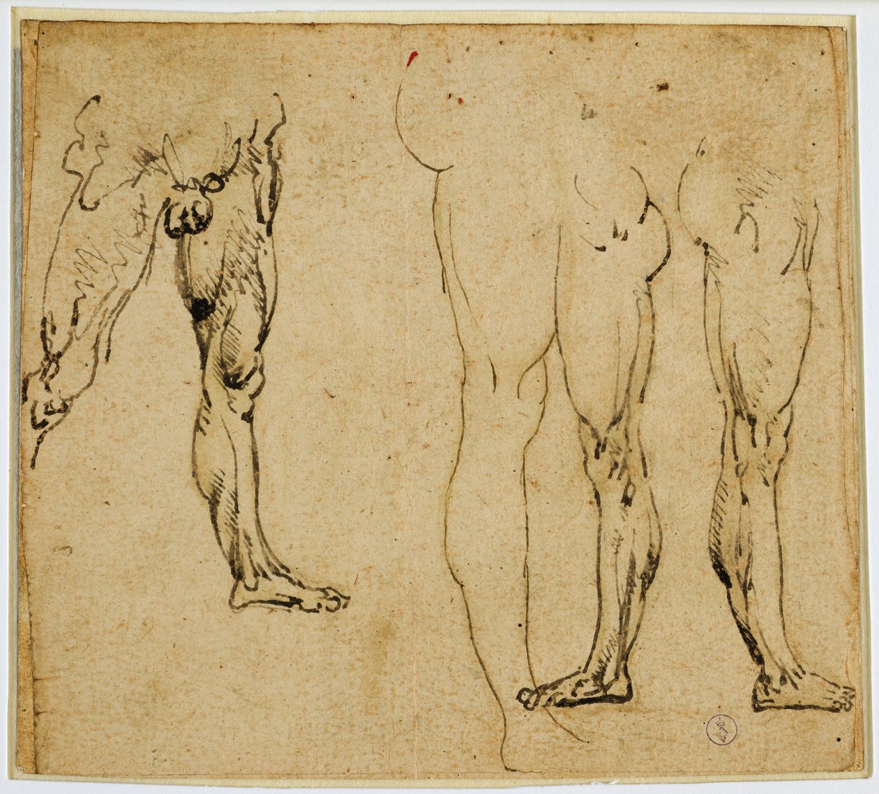 Études de jambes masculines, c. 1485-1487 - Leonardo da Vinci