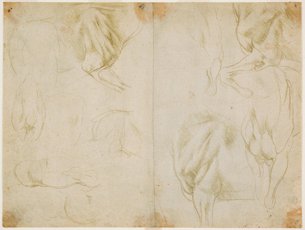 Études de la musculature des membres antérieurs du cheval, c. 1480 - Leonardo da Vinci