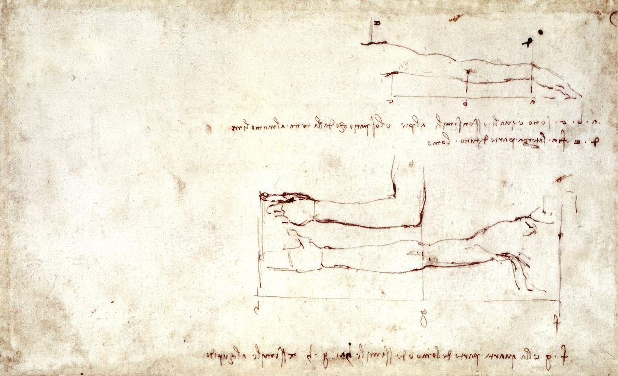 Bras - Leonardo da Vinci