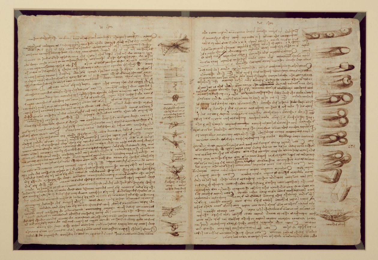 Une page du Codex Leicester, 1508-12 - Leonardo da Vinci