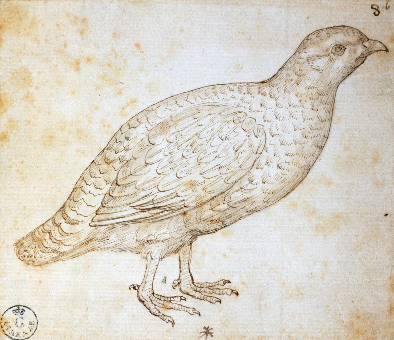 Études d