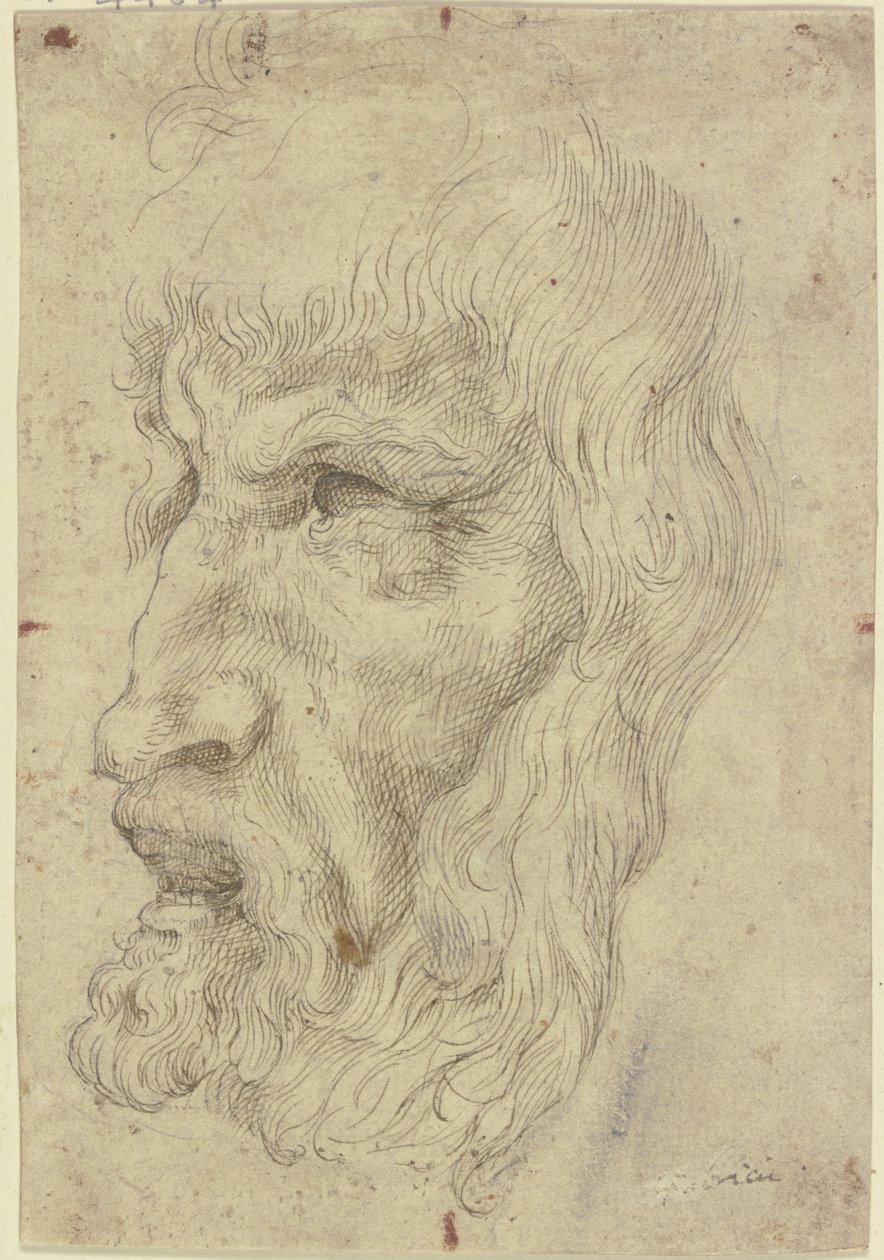 Masques anciens à gauche - Leonardo da Vinci