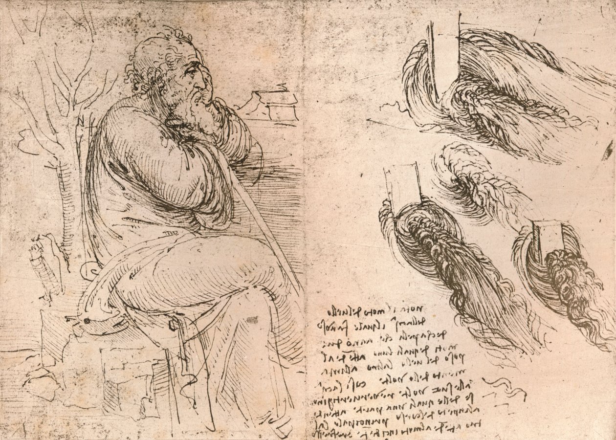 Dessin illustrant la représentation des cheveux tombant en boucles, vers 1472-vers 1519 1883 - Leonardo da Vinci