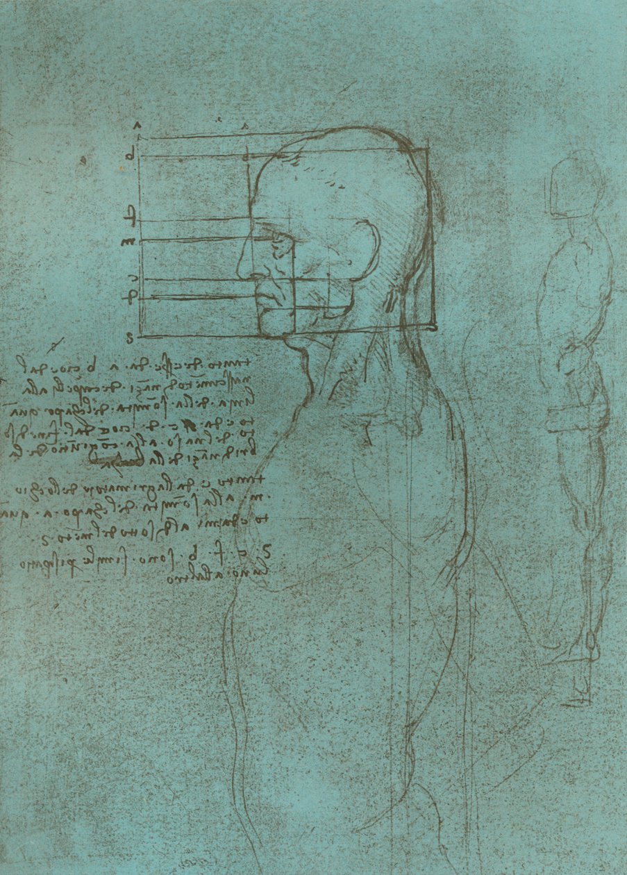 Dessin illustrant la théorie des proportions de la figure humaine, vers 1472-1519 - Leonardo da Vinci