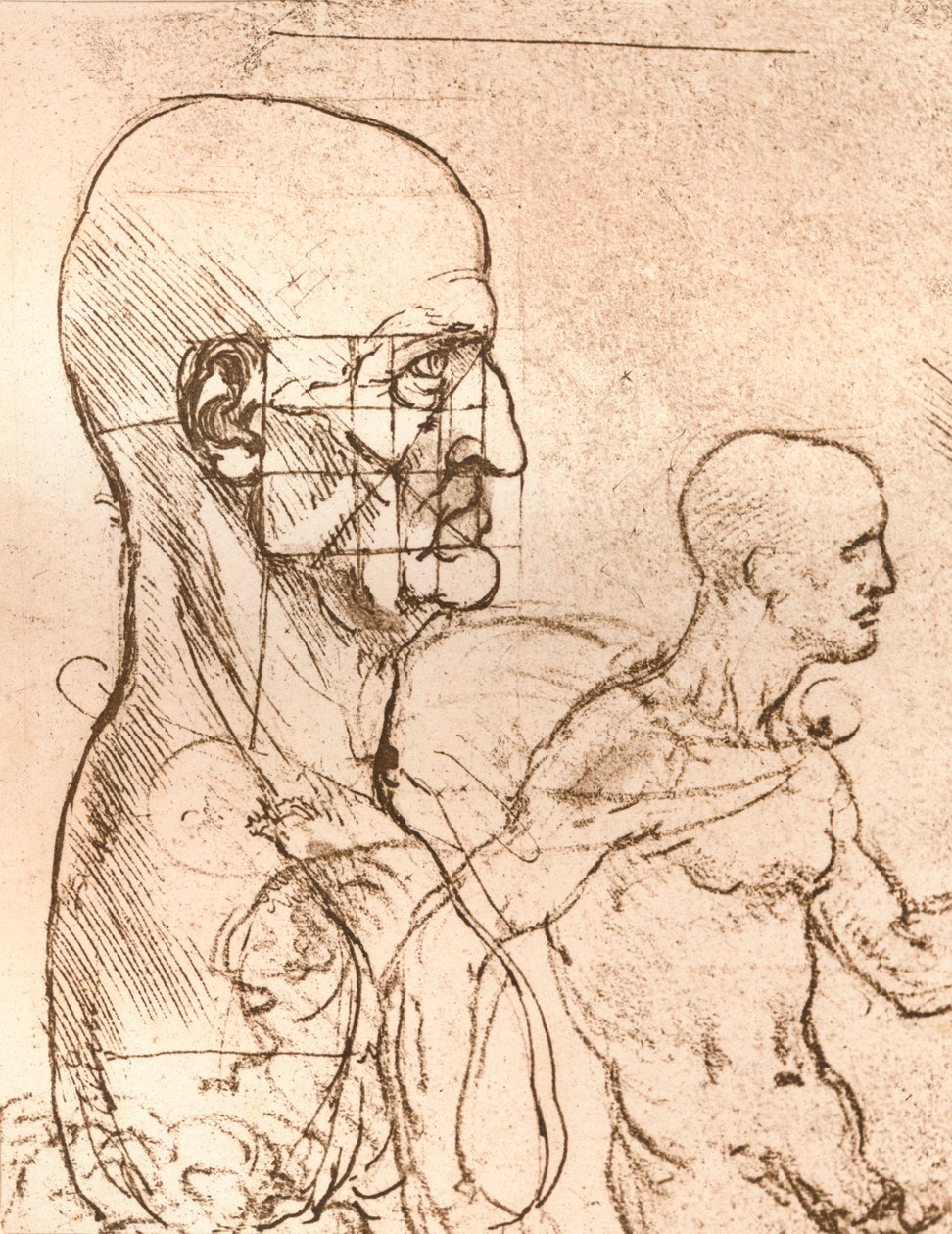 Dessin illustrant la théorie des proportions de la figure humaine, vers 1472-1519, 1883 - Leonardo da Vinci