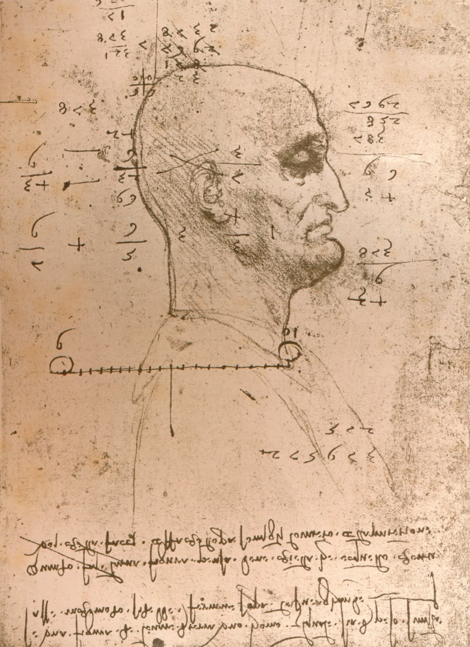 Dessin de la tête d