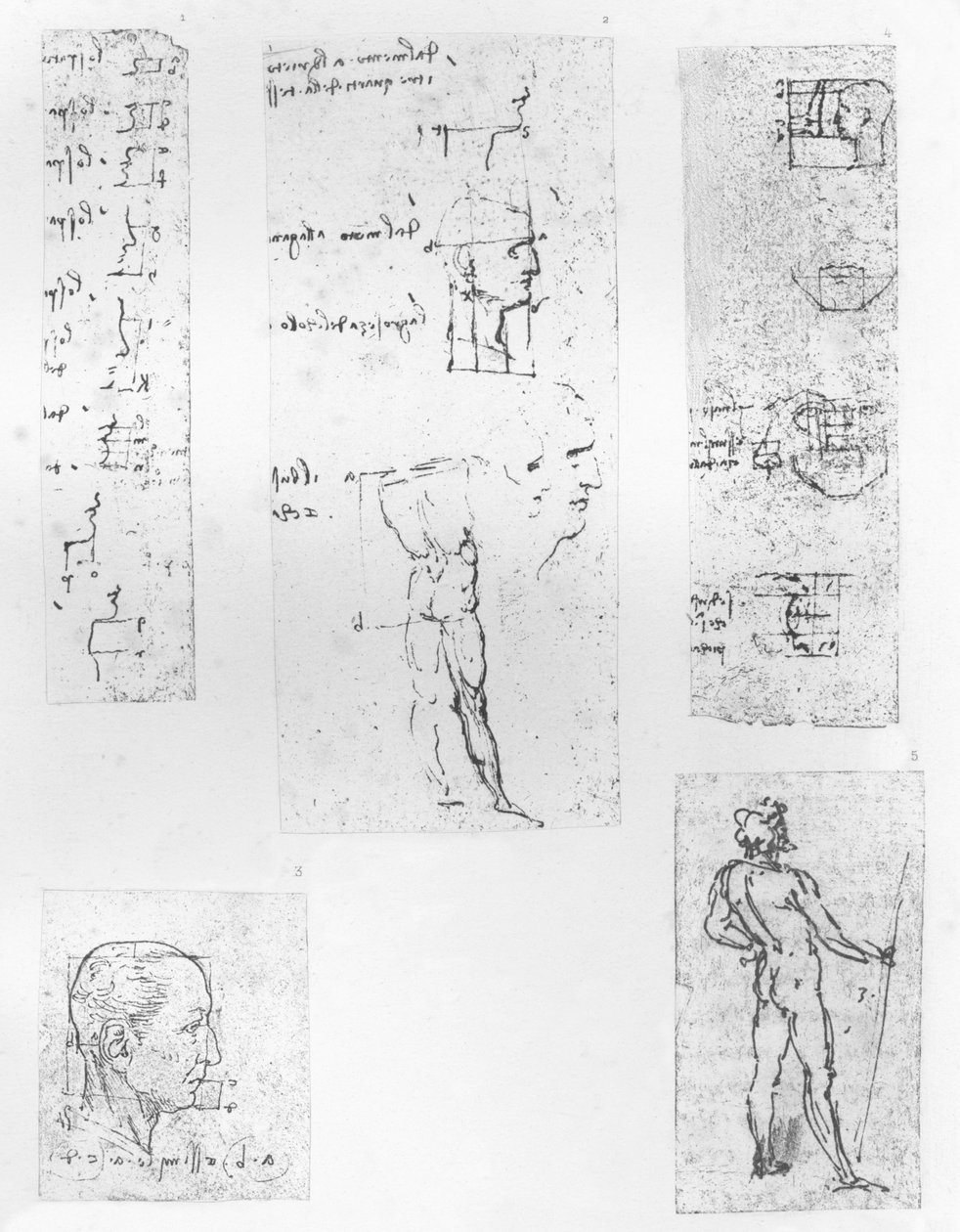 Cinq dessins illustrant la théorie des proportions de la figure humaine, vers 1472-1519 1883 - Leonardo da Vinci