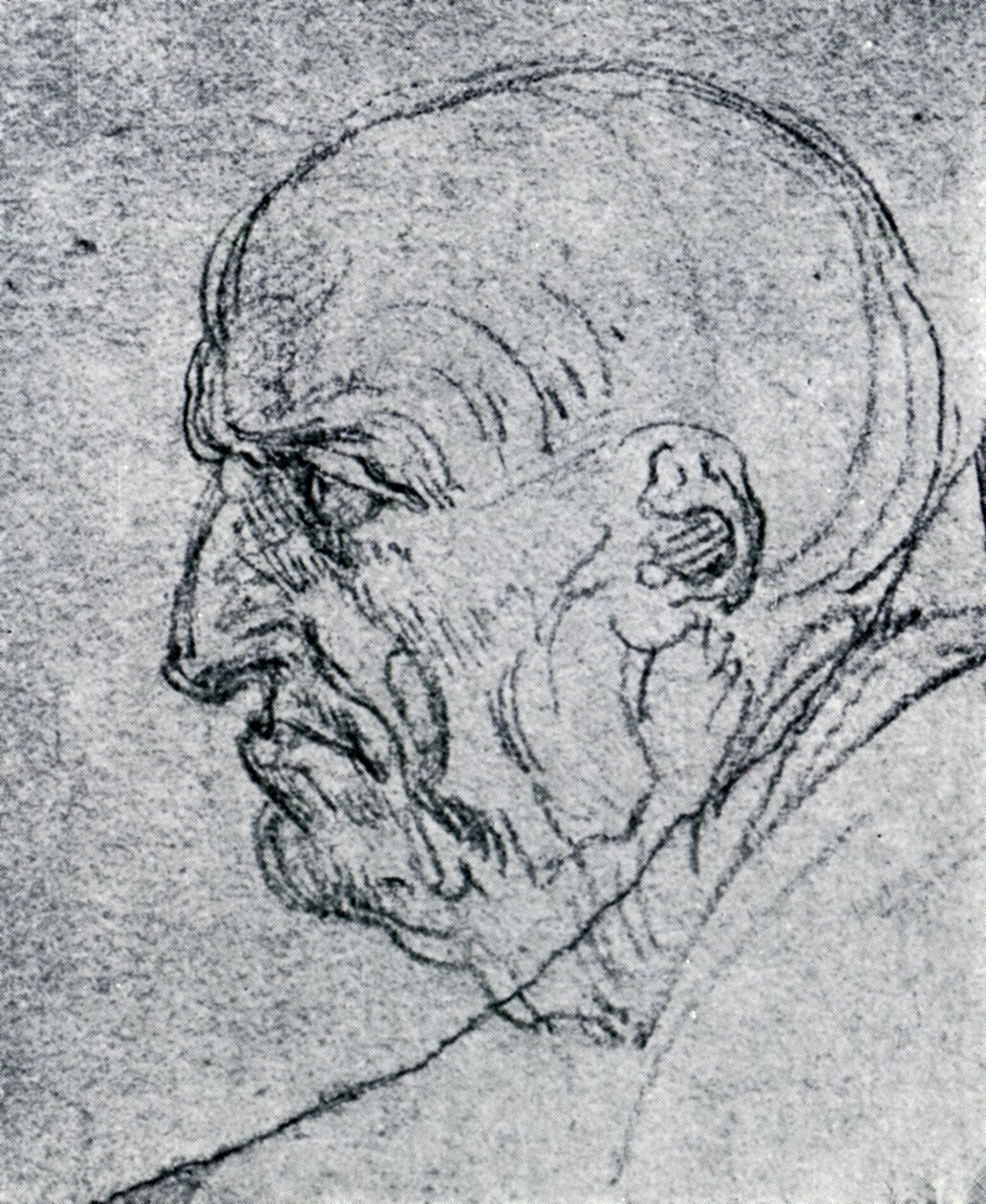 Tête d