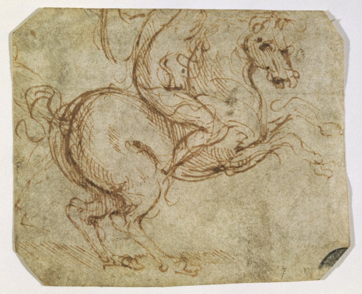 Cheval et cavalier - Leonardo da Vinci