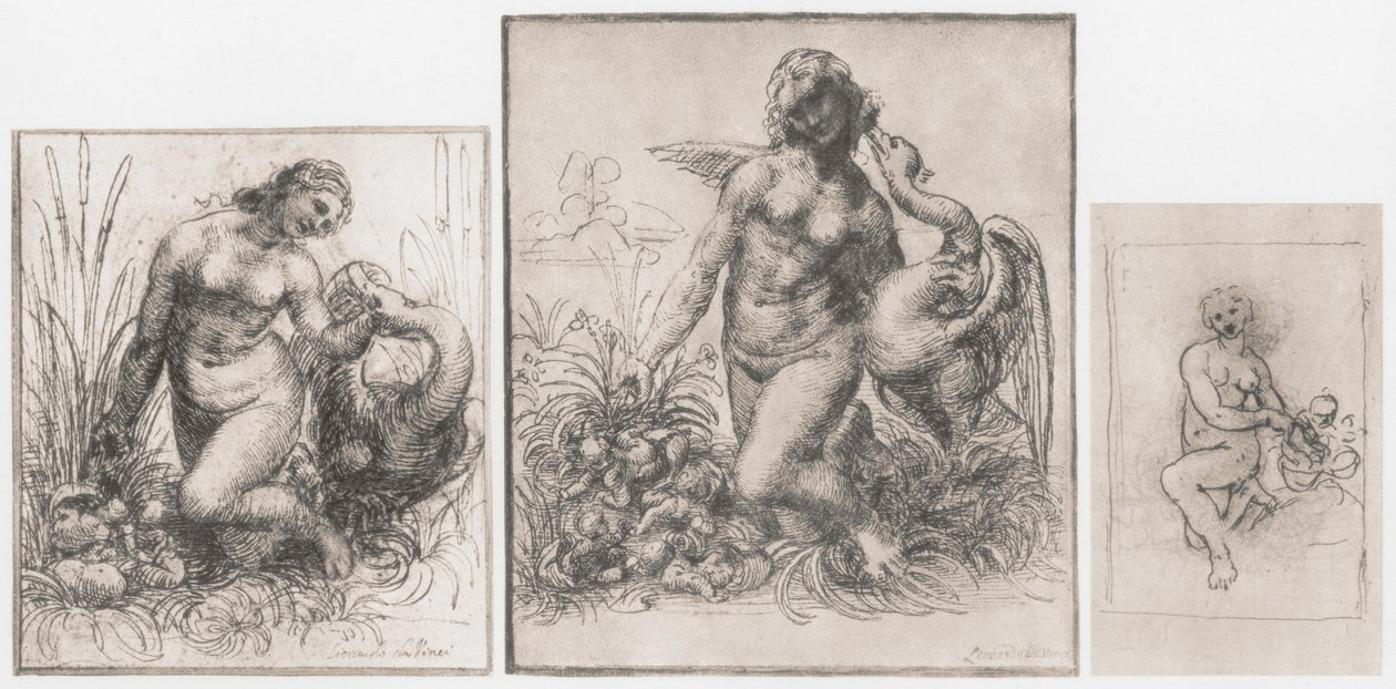 Léda et le cygne, vers 1504-1506 - Leonardo da Vinci