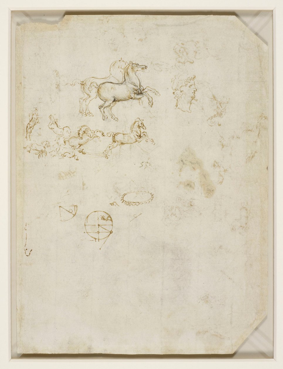 Léonard de Vinci - Verso Chevaux cabrés et tête de Néron v.1503-4 - Leonardo da Vinci