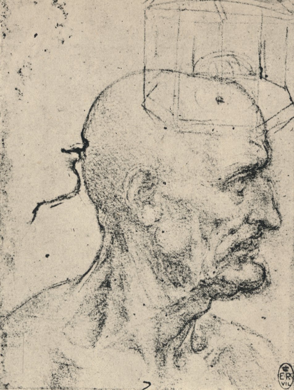 Profil à droite d