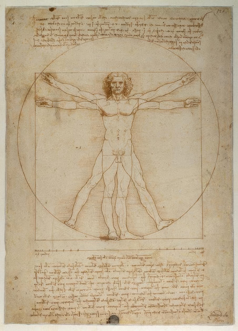 Schéma des proportions de la figure humaine selon Vitruve - Leonardo da Vinci