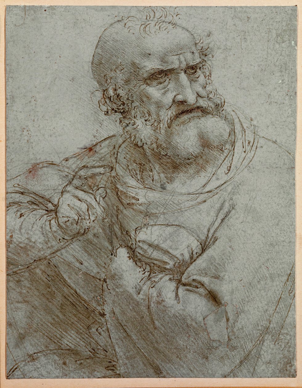  - Leonardo da Vinci