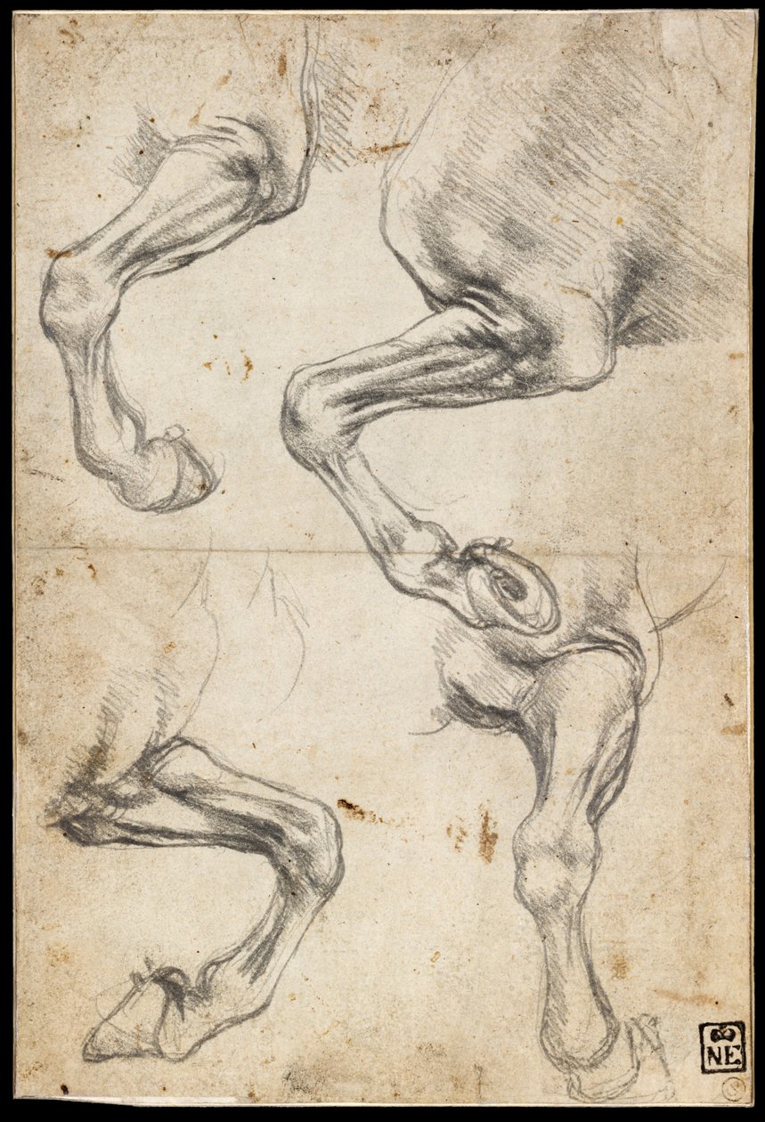 Études de jambes de chevaux - Leonardo da Vinci