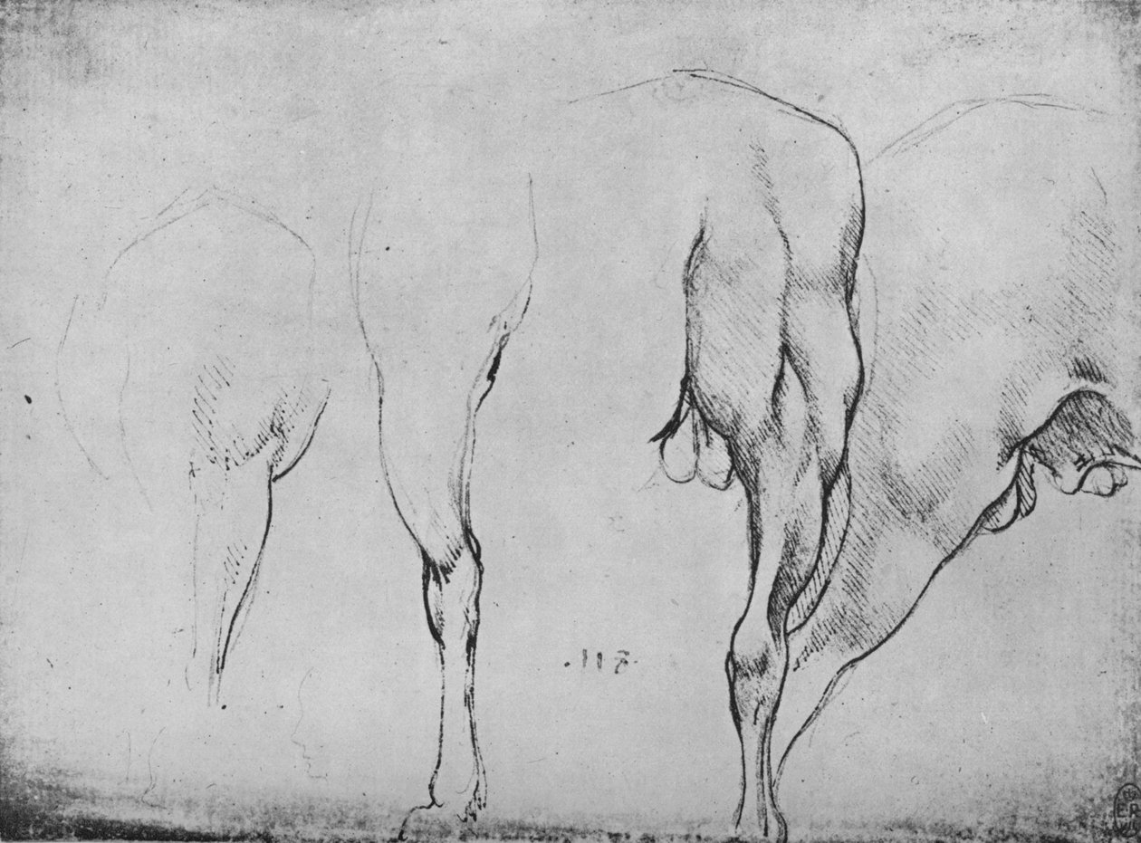 Études de jambes de chevaux, vers 1480 1945 - Leonardo da Vinci