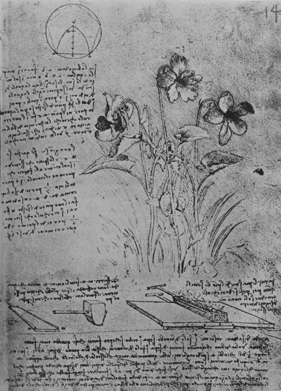 Études de violes et de méthodes de soudure des toits en plomb, vers 1480 1945 - Leonardo da Vinci