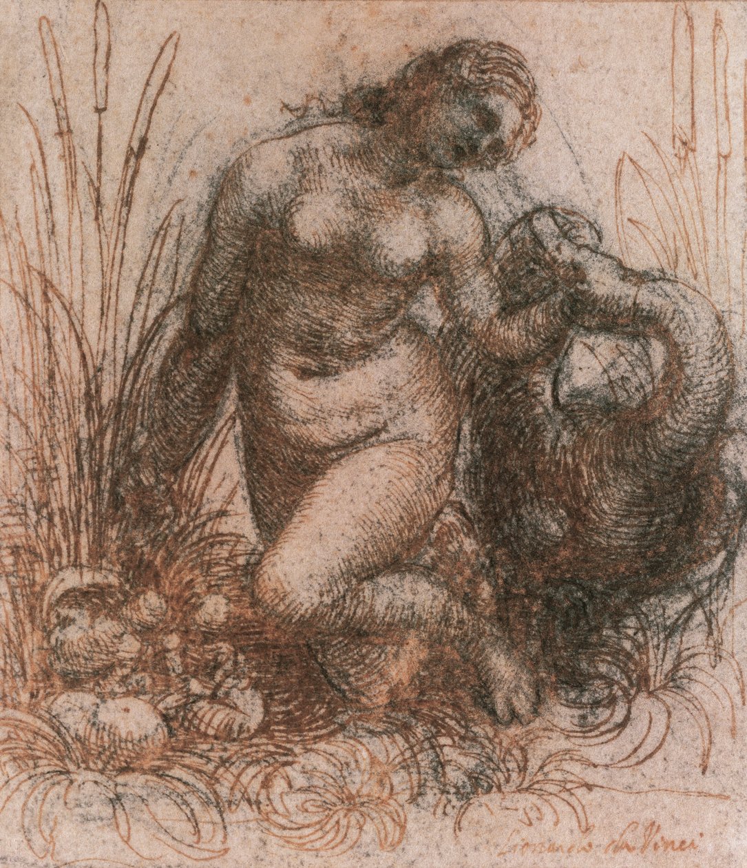 Étude pour Léda et le cygne - Leonardo da Vinci