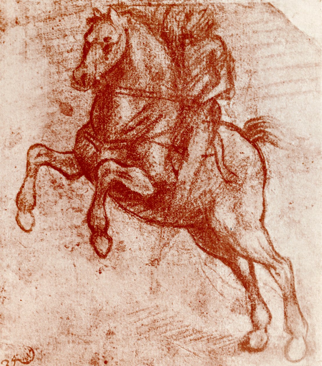 Étude d