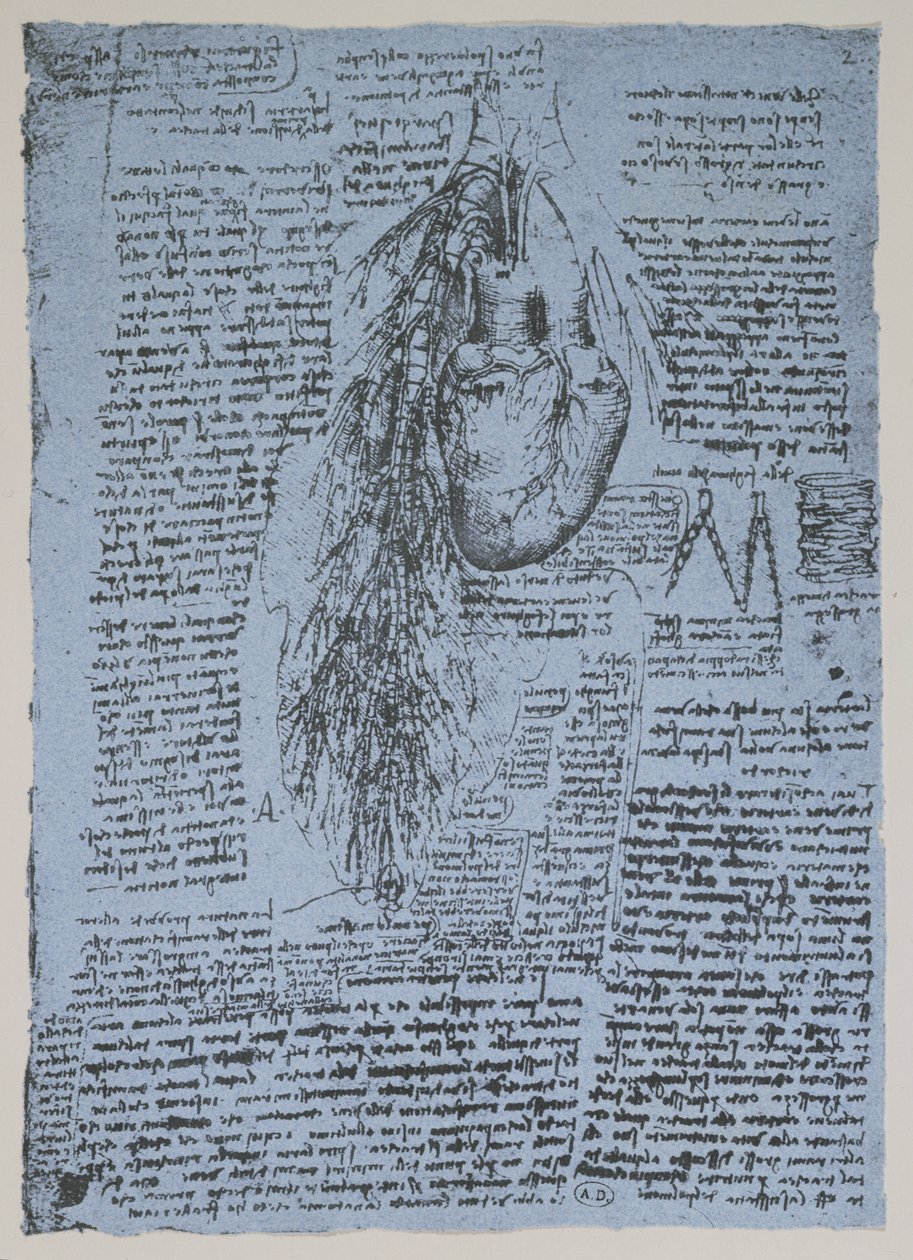 Le cœur et les artères bronchiques, fac-similé du livre de Windsor - Leonardo da Vinci