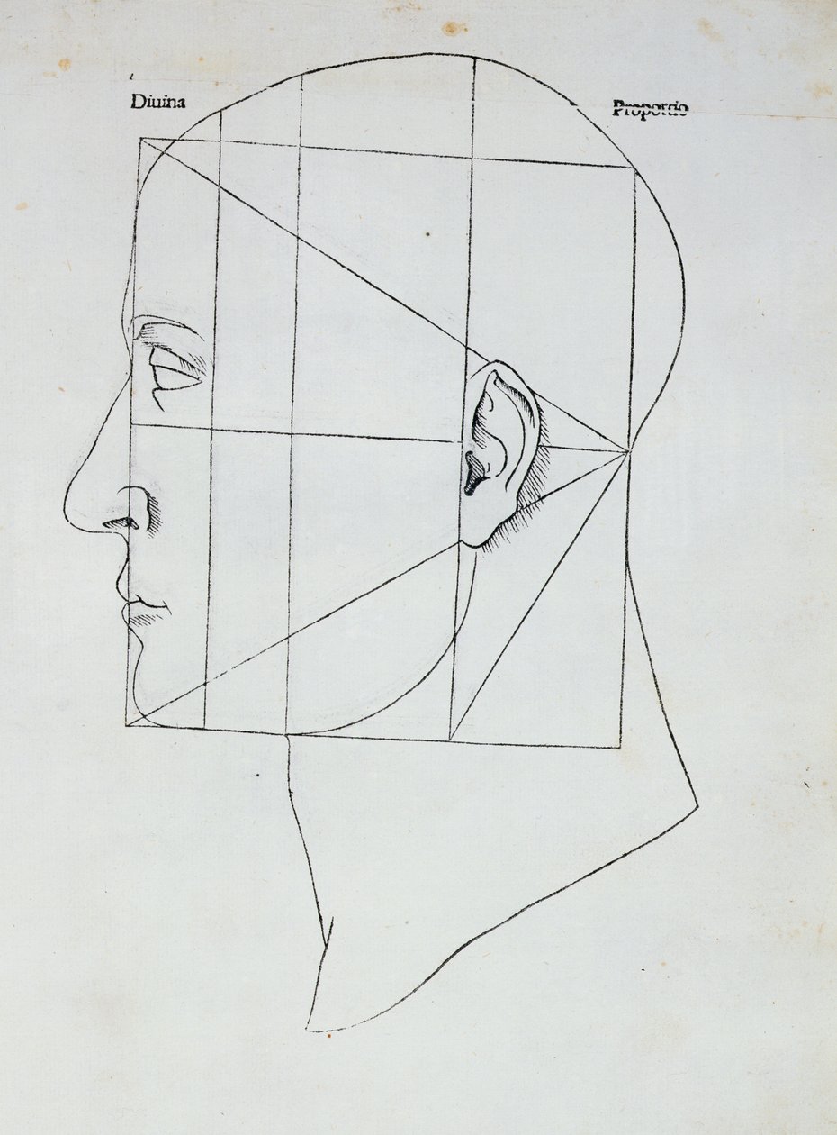 La tête humaine, illustration pour 