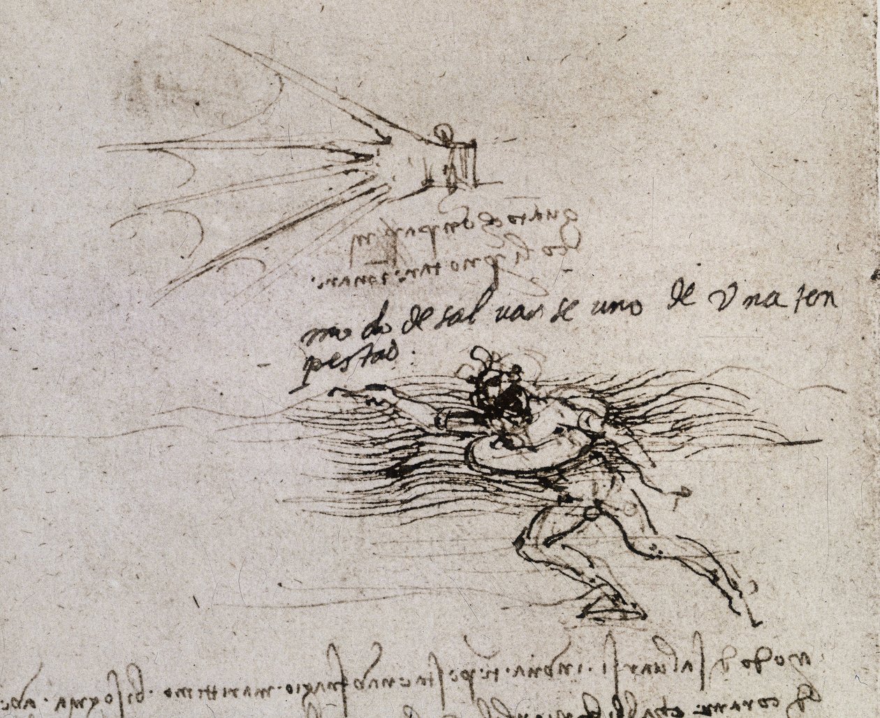 Le palmier et la bouée, Codex Atlantic - Leonardo da Vinci