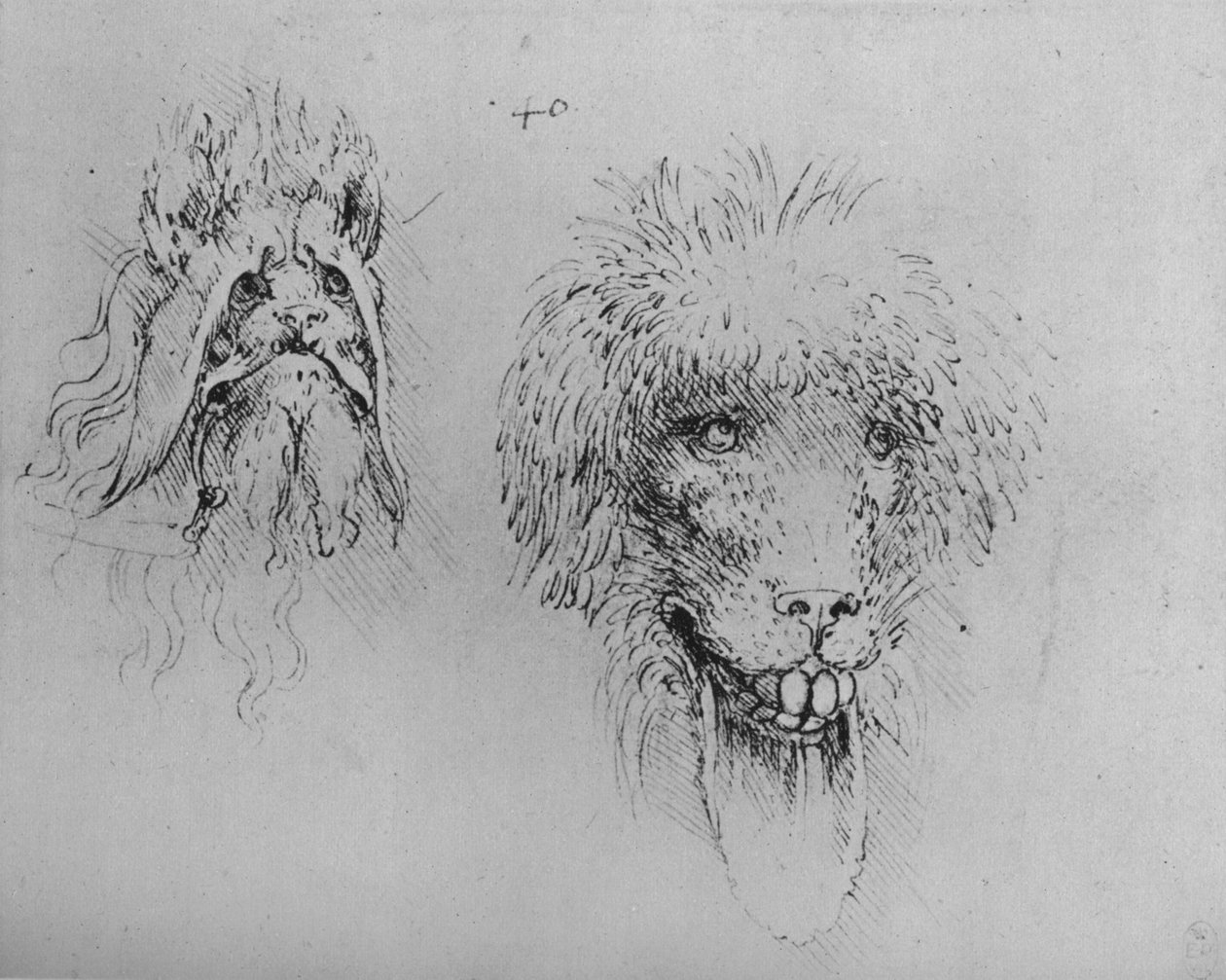 Deux têtes de monstres, c1480 1945 - Leonardo da Vinci