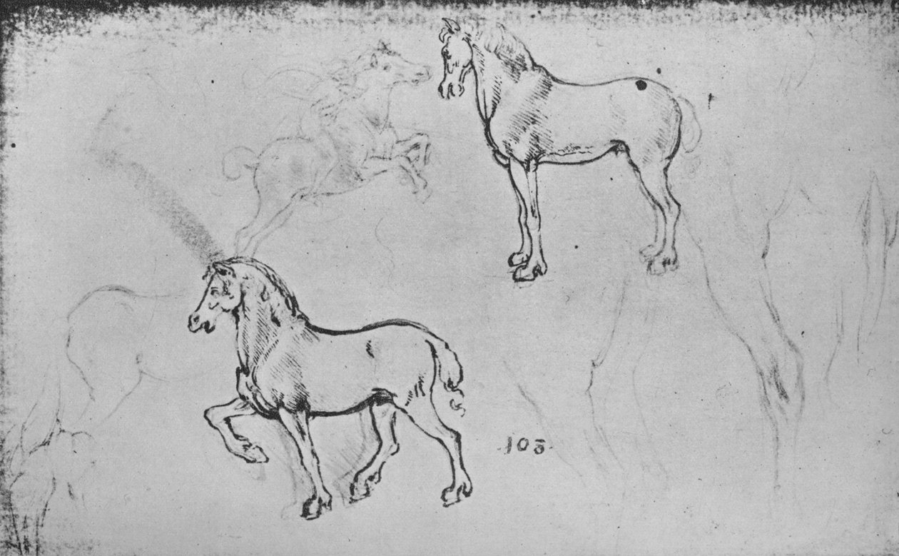Deux études de chevaux, l