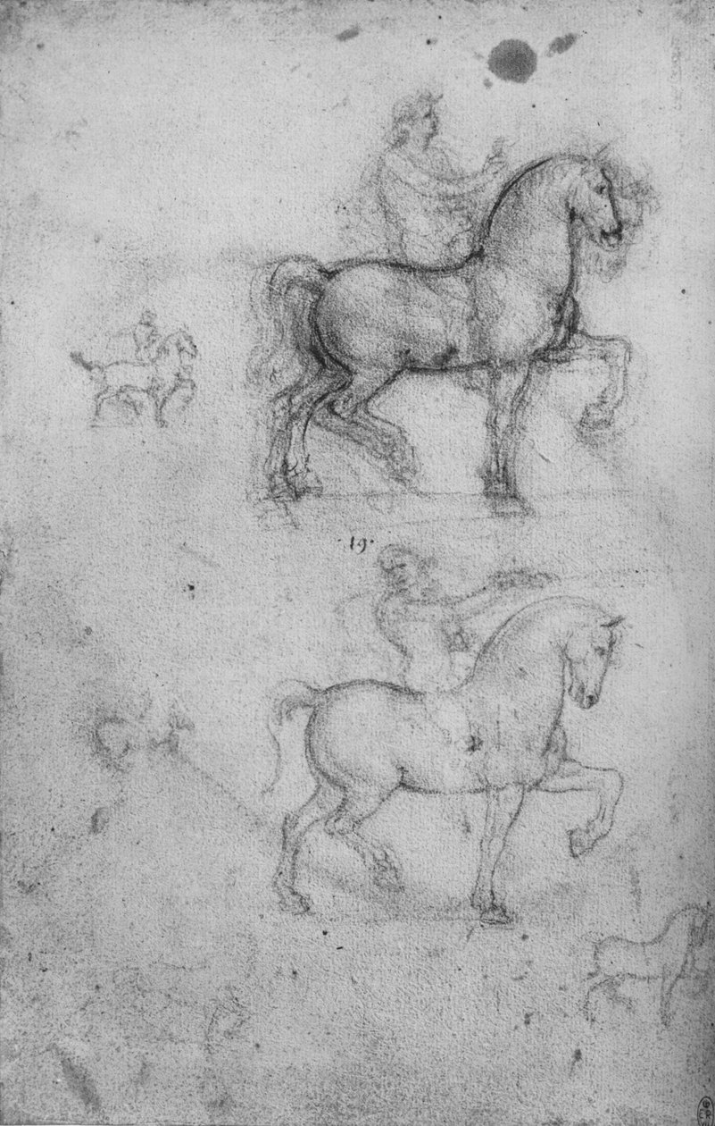 Deux études de chevaux et cavaliers et petites études de chevaux, vers 1480 - Leonardo da Vinci