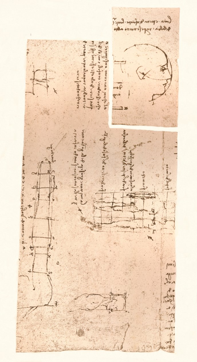 Deux dessins illustrant la théorie des proportions de la figure humaine, c1472-c1519 1883 - Leonardo da Vinci