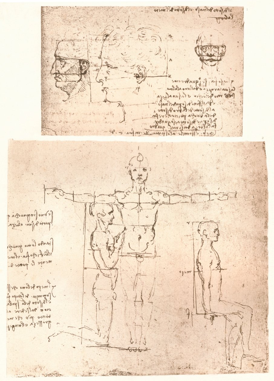 Deux dessins illustrant la théorie des proportions de la figure humaine, vers 1472-1519, 1883 - Leonardo da Vinci